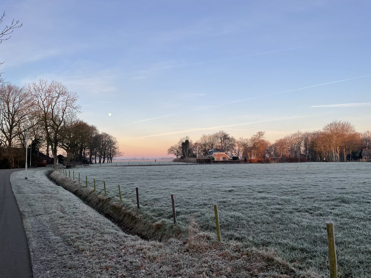 Bert Hidding tweet media