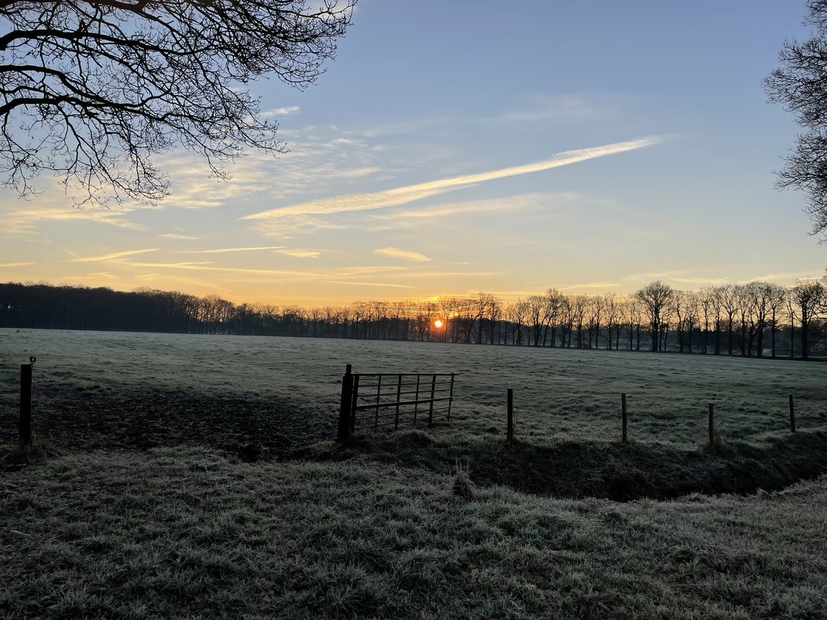 Bert Hidding tweet media