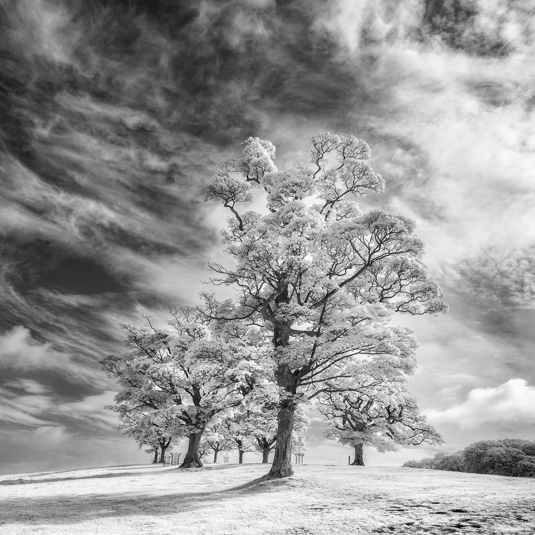 From a walk this afternoon ❤️

The way anything is developed is through practice practice practice practice practice practice practice practice practice and more practice. 🌟

#NFT #nftart

Artist:
 📸tonyhunter_bnw👇
