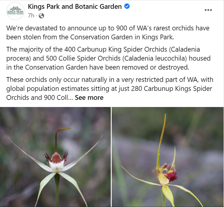 IUCN_Orchids's tweet photo. 900 rare orchids stolen/destroyed 😲. For full report, see
https://t.co/ARTVGFCEAw https://t.co/BfkhgSAdUk