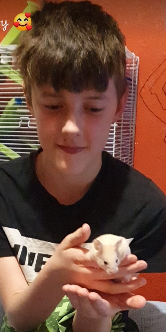 Sarahward2021's tweet photo. Can't believe your 11 already Happy birthday Adrian hope you have a great day 🥳 https://t.co/IrdDOnLjPW