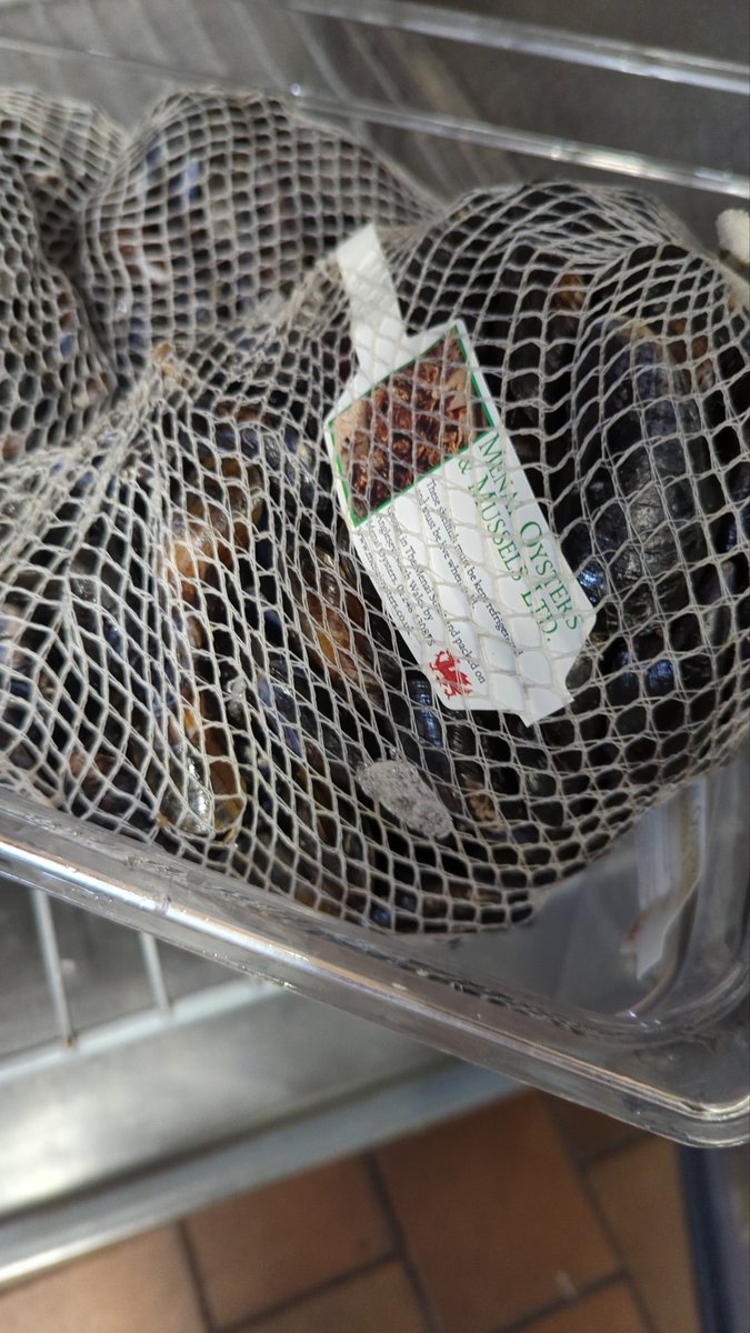 So chuffed to be using these beautiful things again #menaimussels <a href="/bullsheadinn/">The Bull - Beaumaris</a>  <a href="/Inn_Collection/">The Inn Collection Group</a>
#verylocalproduce <a href="/beaufoodfest/">Beaumaris Food Fest</a> <a href="/GoodPubGuide/">The Good Pub Guide</a> <a href="/GoodFoodGuideUK/">The Good Food Guide</a> @