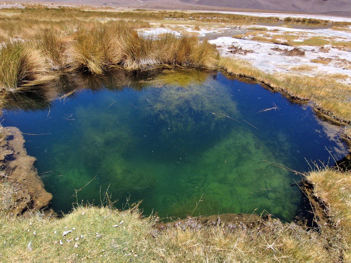 LauraSanchezzzG's tweet photo. A full palette of colorful waters to explore #habitability & #biogeochemistry in Andean lakes of La Puna (Argentina), extreme environments (hypersalinity, high concentration of As, extreme pH, strong UV rad...) with analogy to the #primitiveEarth and #earlyMars. #Microsic project https://t.co/MmYWEkKrTC