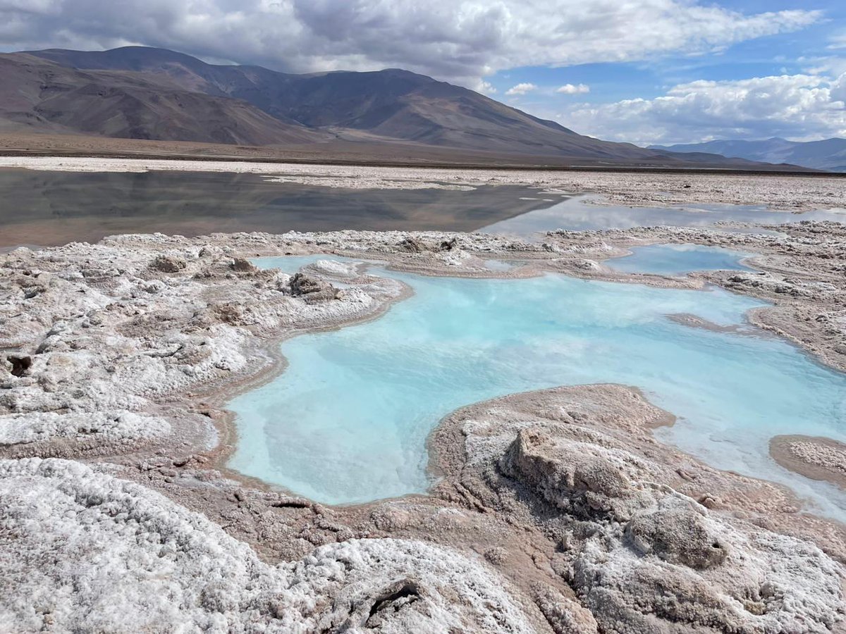 LauraSanchezzzG's tweet photo. A full palette of colorful waters to explore #habitability & #biogeochemistry in Andean lakes of La Puna (Argentina), extreme environments (hypersalinity, high concentration of As, extreme pH, strong UV rad...) with analogy to the #primitiveEarth and #earlyMars. #Microsic project https://t.co/MmYWEkKrTC