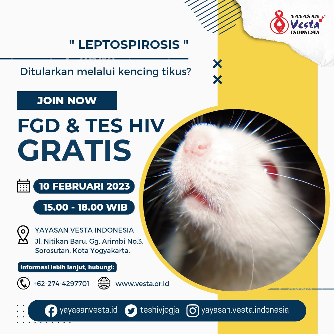 testjog_id's tweet photo. Manusia bisa terkena leptospirosis melalui kontak langsung dengan urine hewan yang terinfeksi atau melalui air, tanah, atau makanan yang terkontaminasi urine hewan. Datang dan ikuti yok FGD dan Tes HIV GRATIS.

#yayasanvestaindonesia #teshivjogja #yayasanvestaindonesia https://t.co/esr16GOcd6