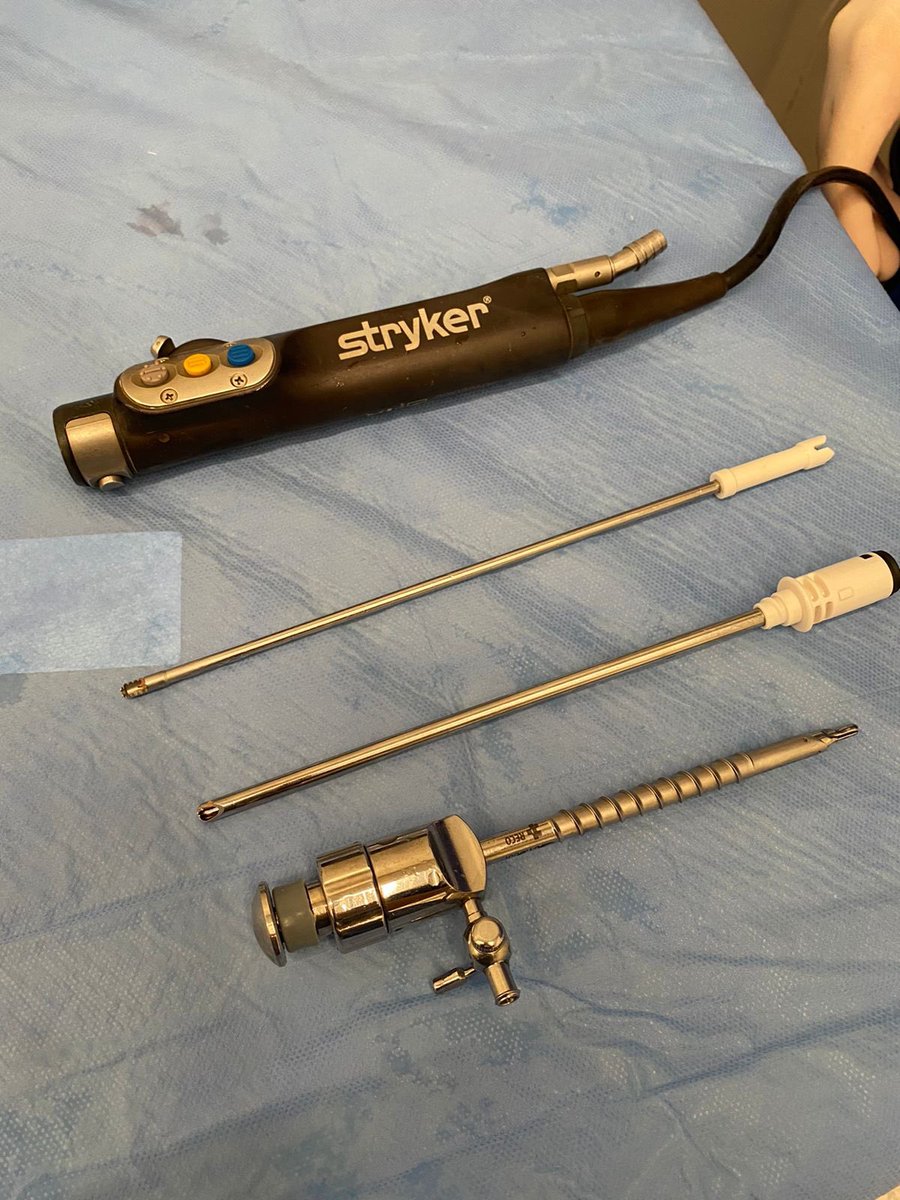 Leonardo Gomes tweet media