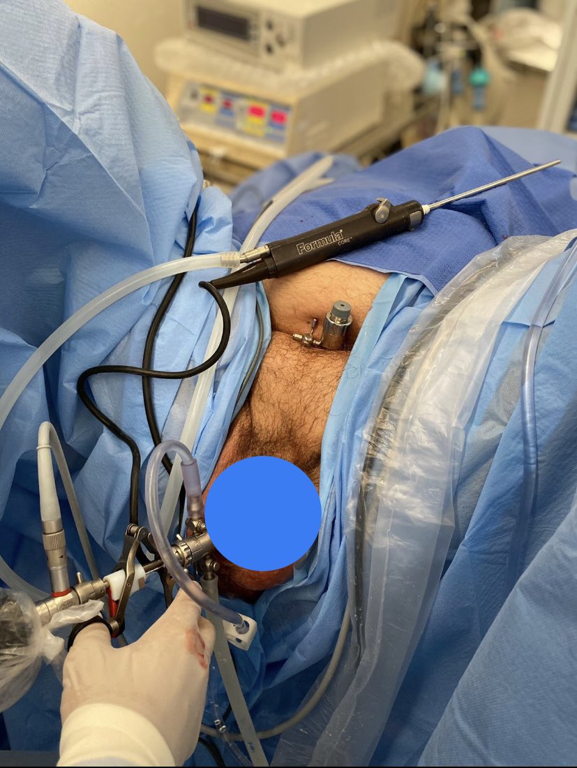 Leonardo Gomes tweet media