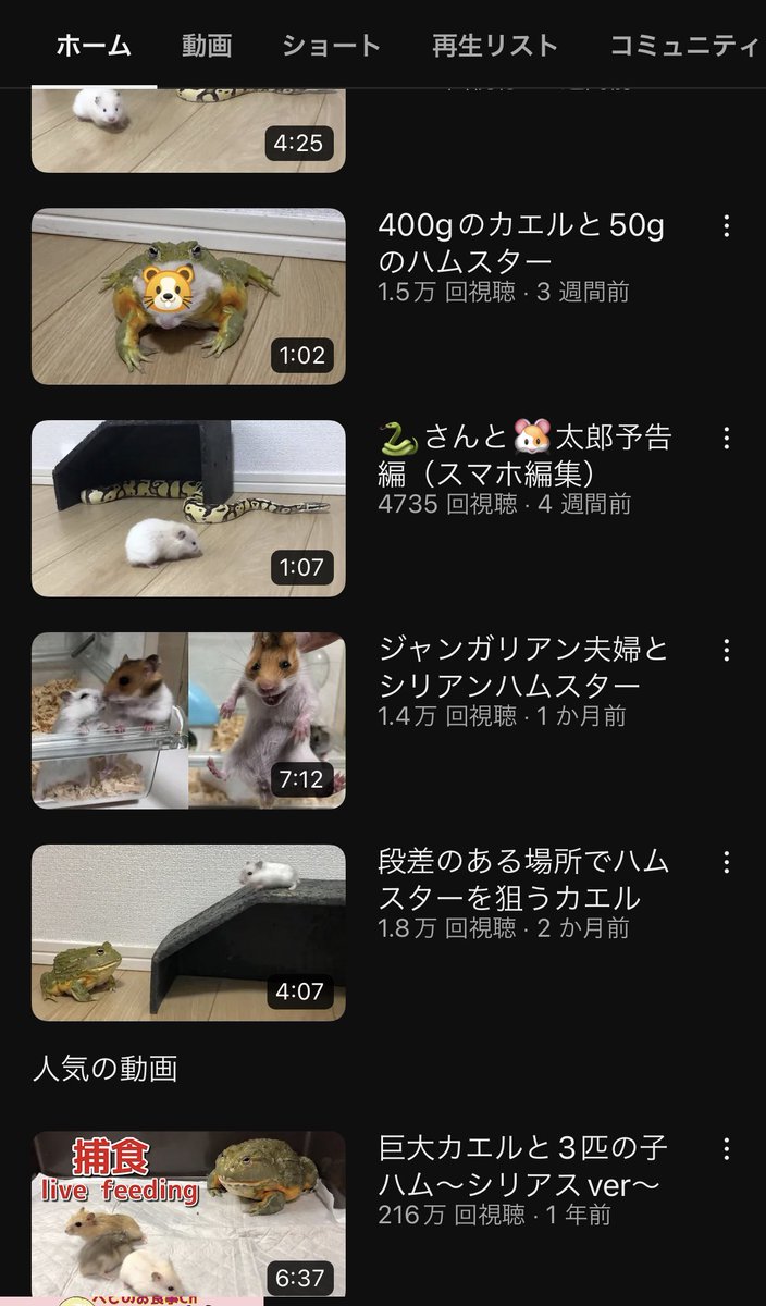 mochimalu_co_jp's tweet photo. みんな🐹
ぼくはとても悲しい動画を見つけてしまったよ…
ハムスター好き、いや、本当に動物を愛してる人は絶対このチャンネルを許しちゃダメだ❗️🐹💢
野生の世界で捕食されるのは自然の摂理で仕方ない。でもこれは人が意図的にやっている。つづく…

#ハムスター　#動物　#youtube #虐待 https://t.co/qWPc84YYKv