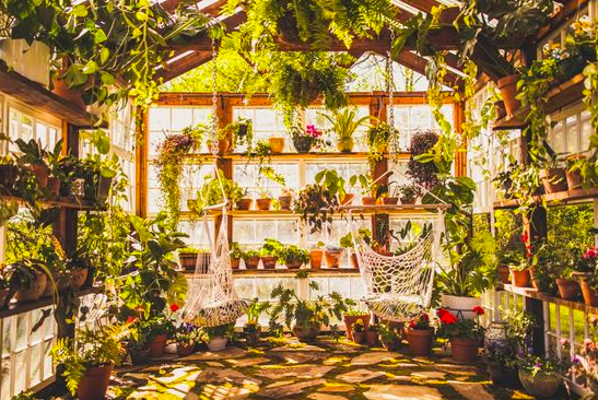 Urban Plant Home tweet media