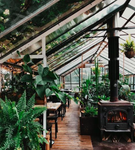 Urban Plant Home tweet media