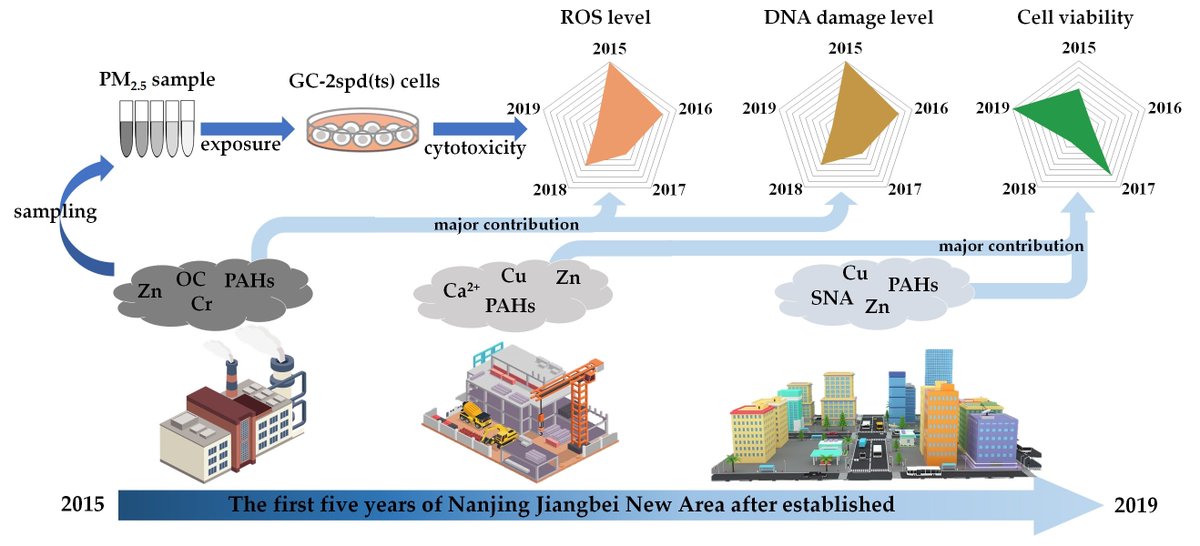 Toxics_MDPI's tweet photo. #call_for_reading 

📝Chemical Characteristics and #Cytotoxicity to GC-2spd(ts) Cells of #PM2.5 in Nanjing Jiangbei New Area from 2015 to 2019 

💻To view full-text: https://t.co/zwz7T1Y67d

#cell_viability  #reactive_oxygen_species  #DNA_damage  #source_contribution https://t.co/EBGSFtUeox