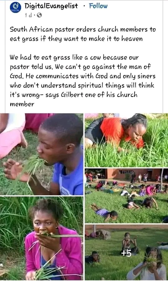 Mtumish Zephania ⭐ tweet media