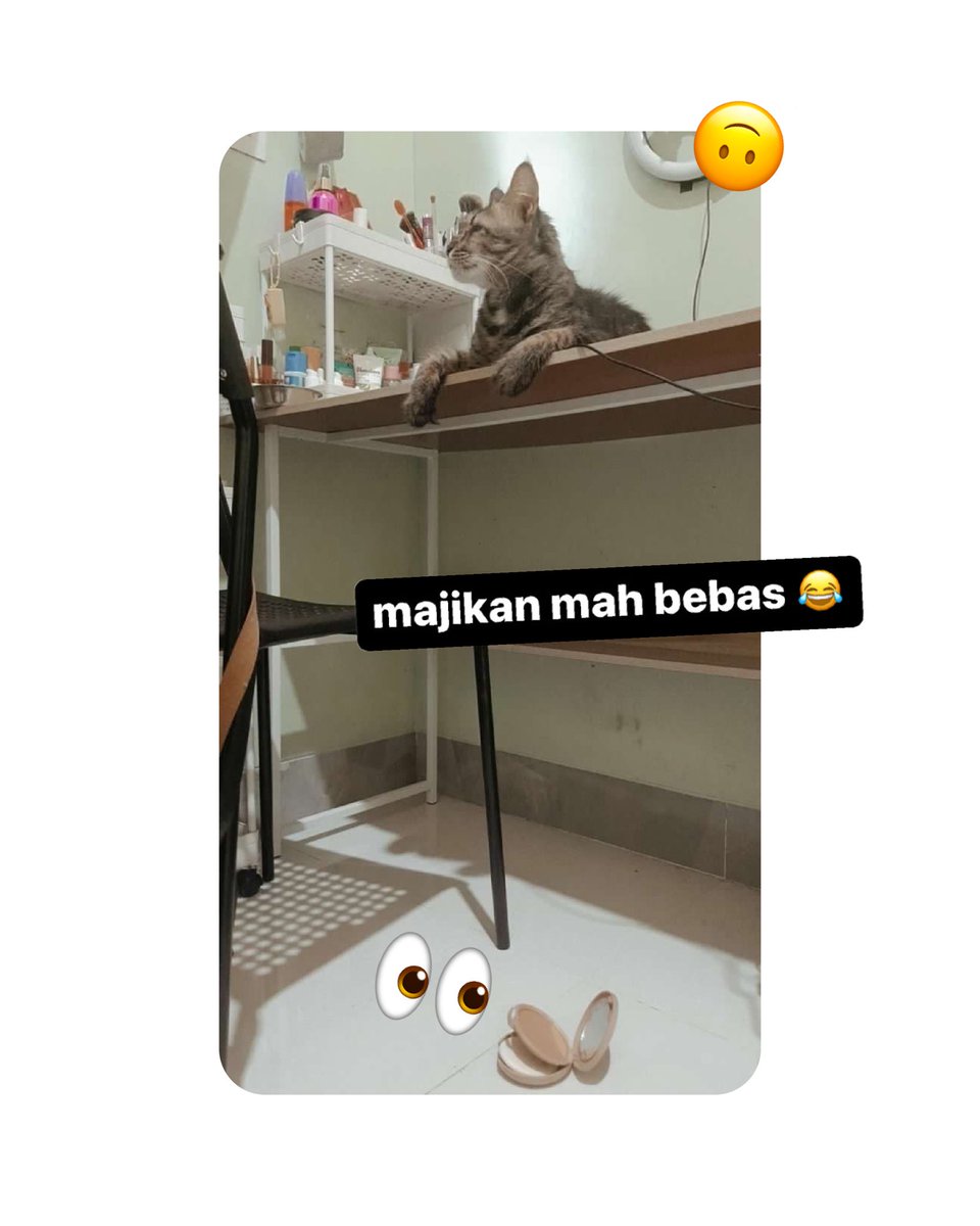 blpbeauty's tweet photo. #CompactPowderBLP edisi dijatohin kucing tapi gak pecah sama sekali π€£π±
Ceritain sama Minzie dong kelakuan kocak anabul kamu!π https://t.co/sNNm2oZ8YK
