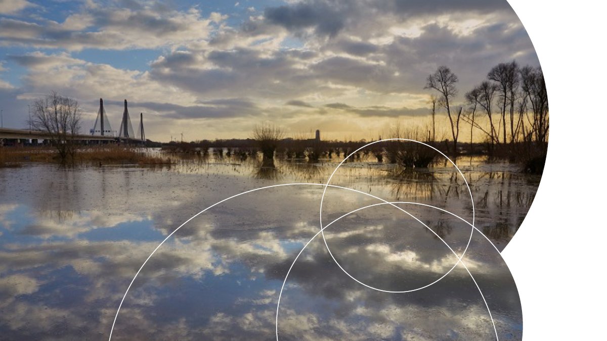 NWONieuws's tweet photo. Eind deze week is er een eerste inventarisatie van de ideeën voor het Klimaatonderzoek Initiatief Nederland (KIN). De ideeën beschrijven een specifiek, urgent onderwerp binnen één van de systeemtransities, waarop de eerste projecten zich kunnen richten: https://t.co/h0fIR6KTds https://t.co/4IoZxDh3g9