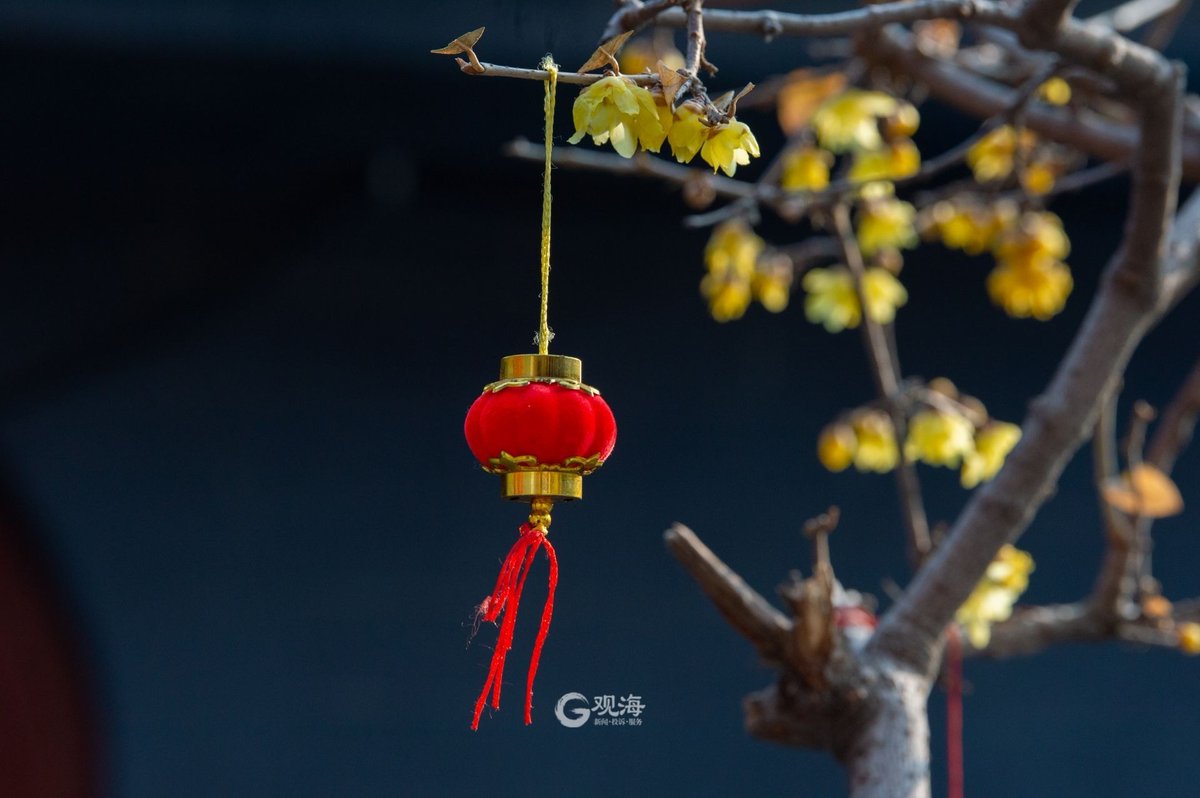 The small red lanterns add to the festive atmosphere.