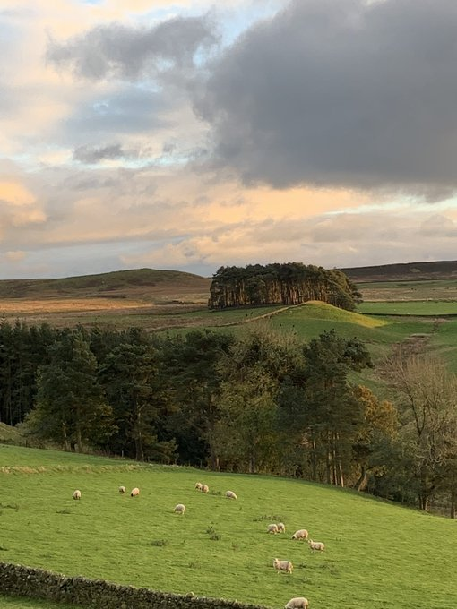 KeepWanniesWild's tweet photo. We would prefer a Queens Green Canopy to celebrate Her Majesty, and not the intrusive construction of Elizabeth Landmark ,check  our  Twitter and Facebook page
@Tatlermagazine @BBCNEandCumbria @ClarenceHouse @bbcCultureShow @KensingtonRoyal @Media_Trust 
#KeeptheWanniesWild https://t.co/pfhg8Cdd1W