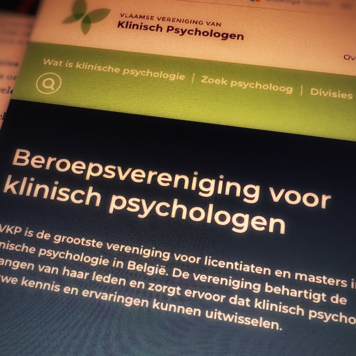 TomDeGendt's tweet photo. Gisteren gaf ik op uitnodiging van @VVKP een webinar voor #klinisch #psychologen over #professionele #samenwerkingsverbanden als #zelfstandige.

Veel boeiende vragen 
👉 ideale gelegenheid om enkele hardnekkige misverstanden de wereld uit te helpen 😚

#associaties
#zorg 
#vvkp https://t.co/YIZ2TGJigO