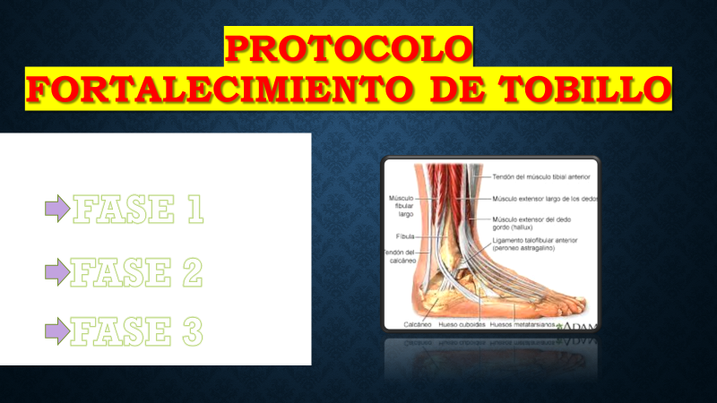 🚨 PROTOCOLOS DE FORTALECIMIENTO
📊 De acuerdo a un mapa lesivo que contextualice tu realidad. 
✅Es importante para fortalecer futuras descompensaciones.
📈Plan dividido en FASES de trabajo
💡OBJETIVO prevenir lesiones.
INTERESADOS RT 🔄 y dejar su 📩 para compartir
GRACIAS‼️🔝