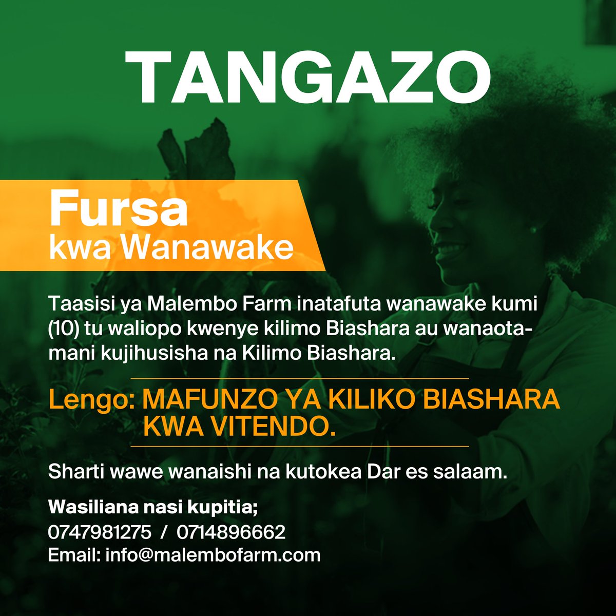 Tangazo.

wa.me/255747981275

#KilimoNiAjira 

—<a href="/MalemboLE/">Lucas E. Malembo</a>