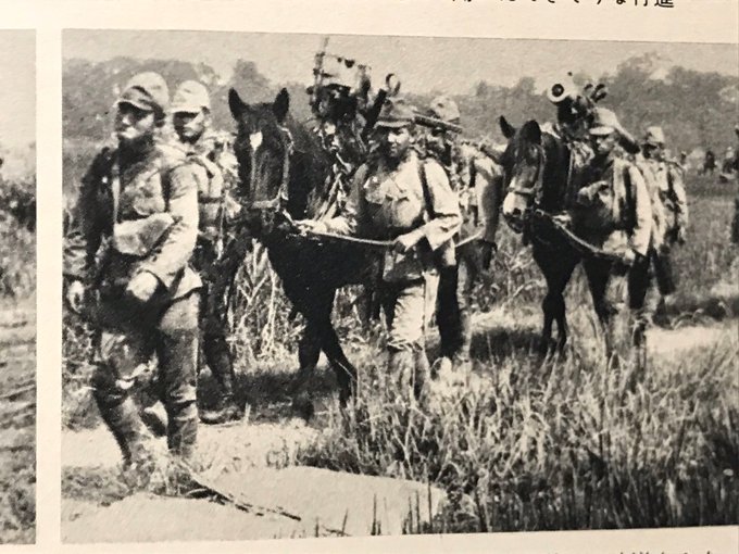 大砲をバラバラに分解して馬に駄載するばかりか。馬が居なければ人間が担いで山越えしたりで。 