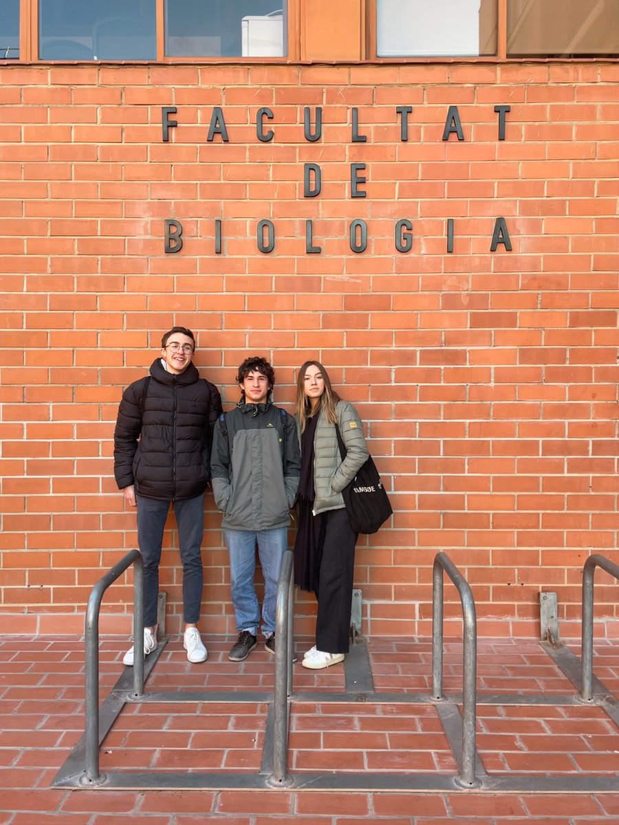 iesllavaneres's tweet photo. 🧬🧫Dissabte passat, la Laura, en Guifré i en Jordi de 2n de Batxillerat van participar en la XVIII Olimpíada de Biologia de Catalunya @OBCatalunya, a la seu de Barcelona. 

#institutllavaneres #2nBAT #Biologia https://t.co/jXcayJ2eoD