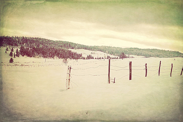 New artwork for sale! - "Winter sunset -" - fineartamerica.com/featured/winte… <a href="/fineartamerica/">Fine Art America</a>