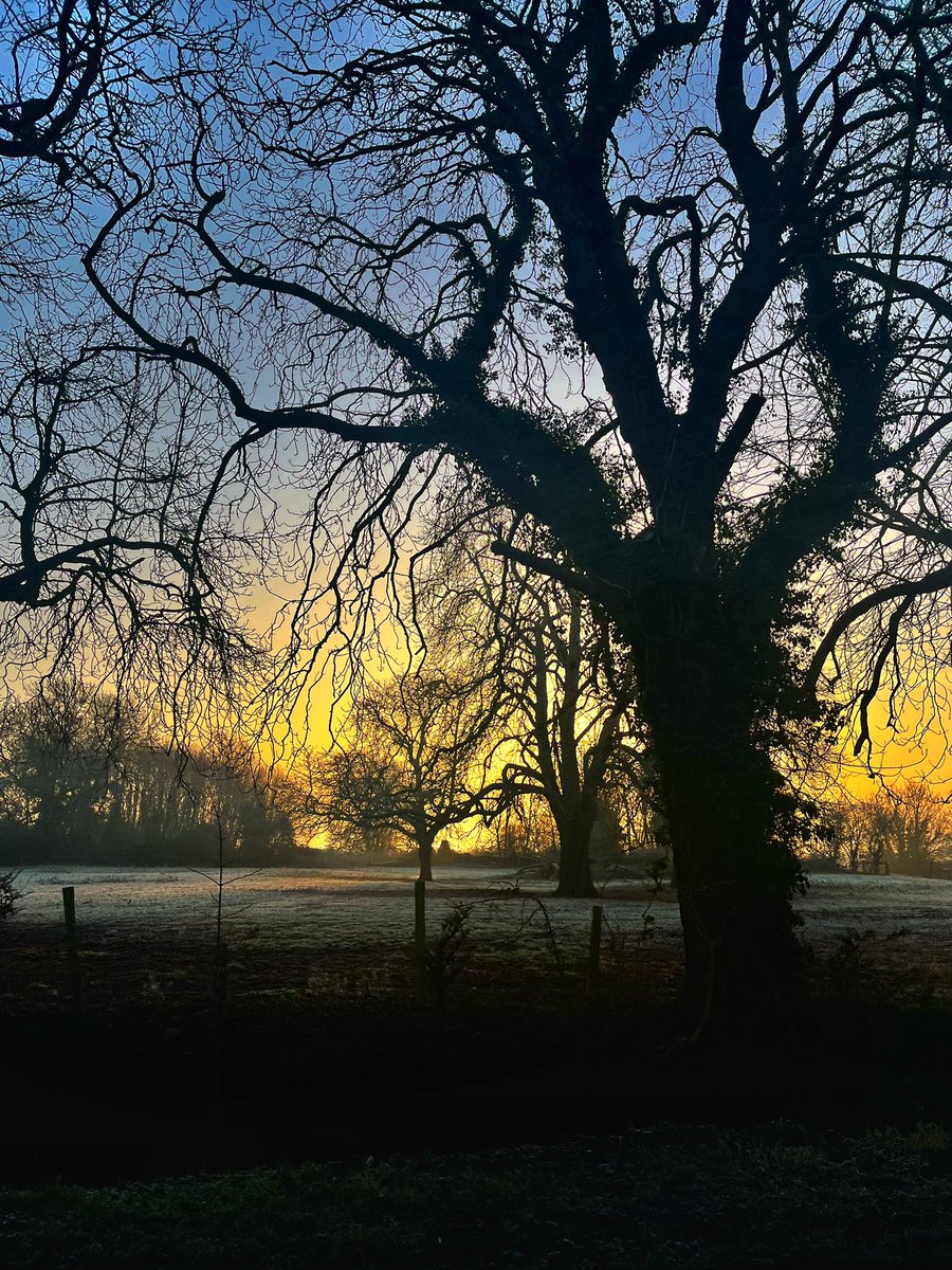 kelly_1288's tweet image. Early sunlight and shadows this morning 

#sunrisephotography #shadowandlight #Norfolk #wakeup #iphonography
