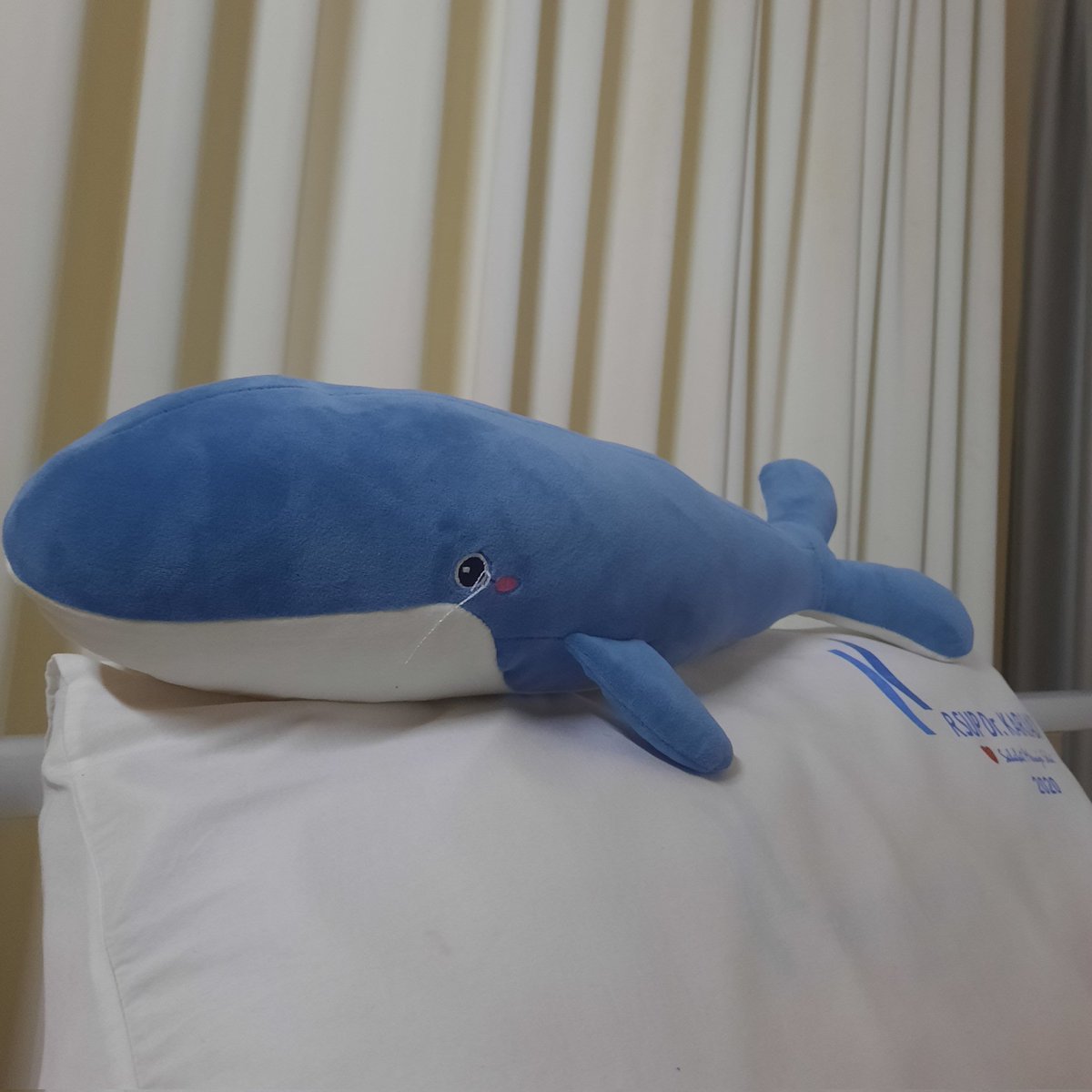 jujunimo__'s tweet photo. Mau dokumentasiin transplan stem cell dari awal sampe akhir buat dikenang suatu hari nanti.

Harusnya dari kemaren tapi kmrn uda setengah mau mati wkwkwkwkkw https://t.co/NN7tA3XffV