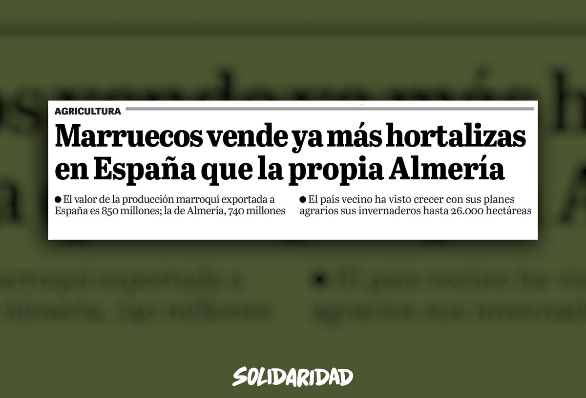 solidaridad_esp's tweet photo. Están sustituyendo el sector primario español por el sector primario marroquí.

Son las consecuencias de las políticas de la Agenda 2030, la religión climática y las fronteras abiertas a la competencia desleal. 

Proteger lo nuestro es una cuestión de supervivencia. https://t.co/QqDJcNmO4W