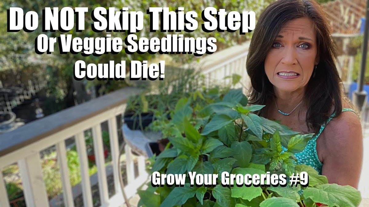 AllForGardening's tweet photo. ##CaliKim: Do NOT Skip This Step or ...
#CaliKim29 #CaliKim29GardenHomeDIY #FirstTimeGardener #Gardening
https://t.co/mTrPusECSU https://t.co/xu6JUYurZS