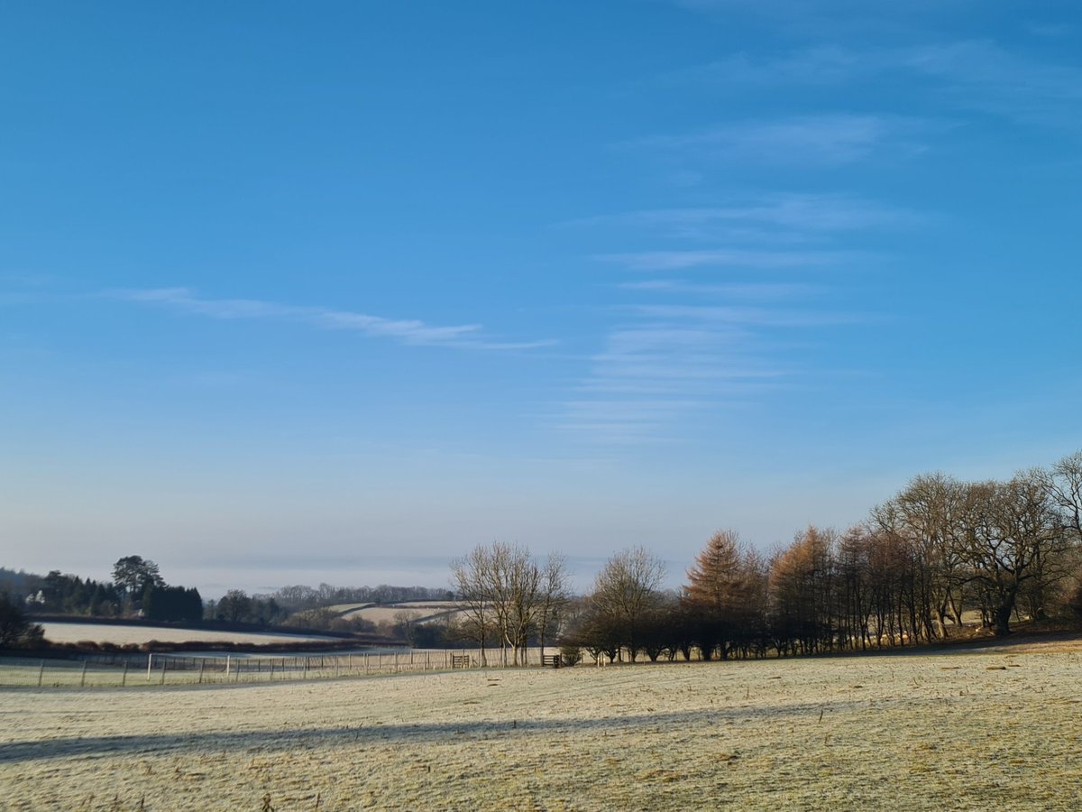 GalloAE52's tweet photo. Woke up today, sun shining, frosty cold air...
Life. Feeling grateful for: people. Not only my friends and family but those on this journey with me. #buildingrelationshipsmatter https://t.co/rwRCRlIt8R
