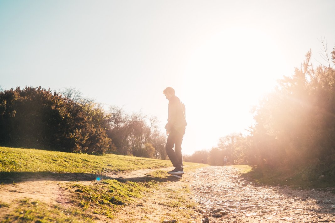 Our shortest month of the year is also one of great interest in our local countryside and green spaces. 🌱

So, what can we expect from a countryside walk in February?

From colourful blooms to rising birdsong, find out what's in store this month 👇 
cpre.org.uk/discover/a-cou…