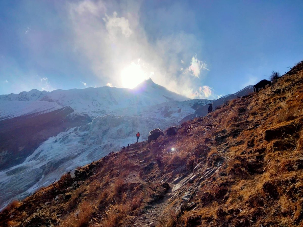 AlexTxikon's tweet photo. 📸🌄 Hi! I share with you photos of the last 2023 sunset spent on Manaslu as I board the plane 🛬 to a new adventure. That last day we were also lucky to see yaks and blue sheep (it's hard to see them). Without a doubt, a great final of the expedition
#wintersummits #alextxikon https://t.co/s1Ww8IDdDc