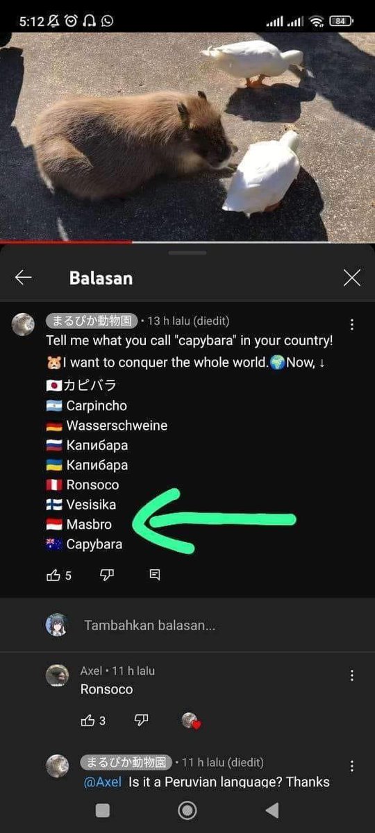 Dikira beneran sama orang luar woyy yeet!