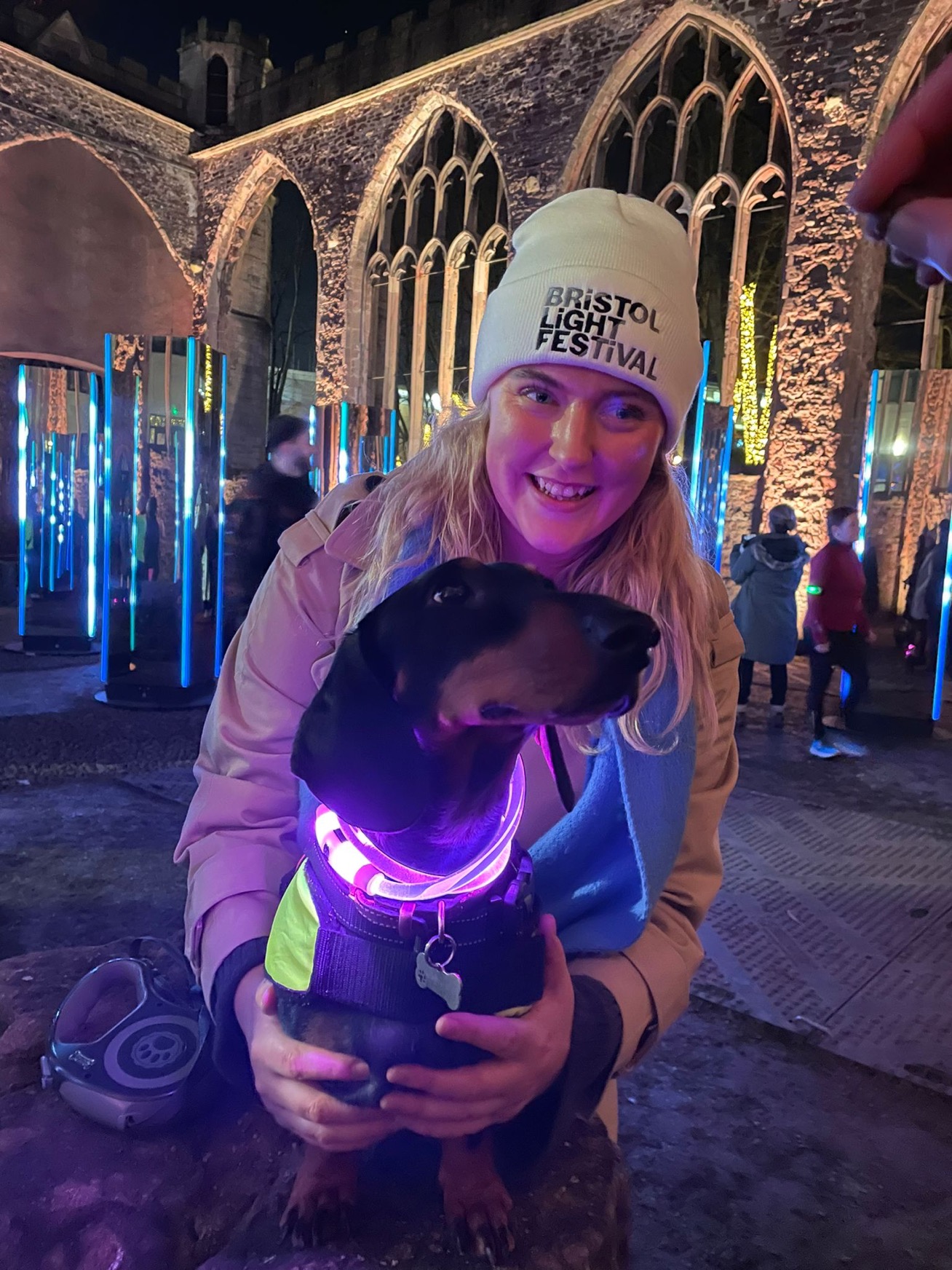 Bristol Light Festival on Twitter: "D A C H S H U N D H E A V E N Our