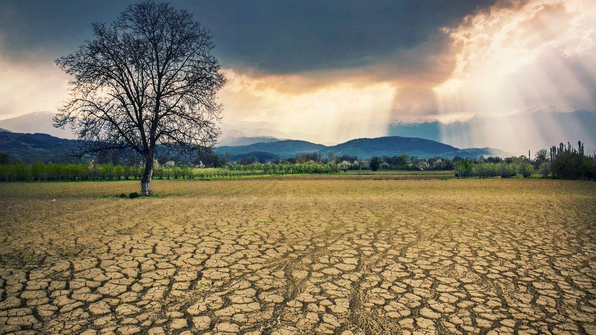 Comment s’adapter au changement climatique ? Premier article signé @Geolopinho7 autour du thème du Prix Jeunes pour l’Environnement @epe_asso TF1/LCI : 'Relever le défi de l’adaptation au changement climatique : quelles solutions sobres et durables ?' tf1info.fr/environnement-…