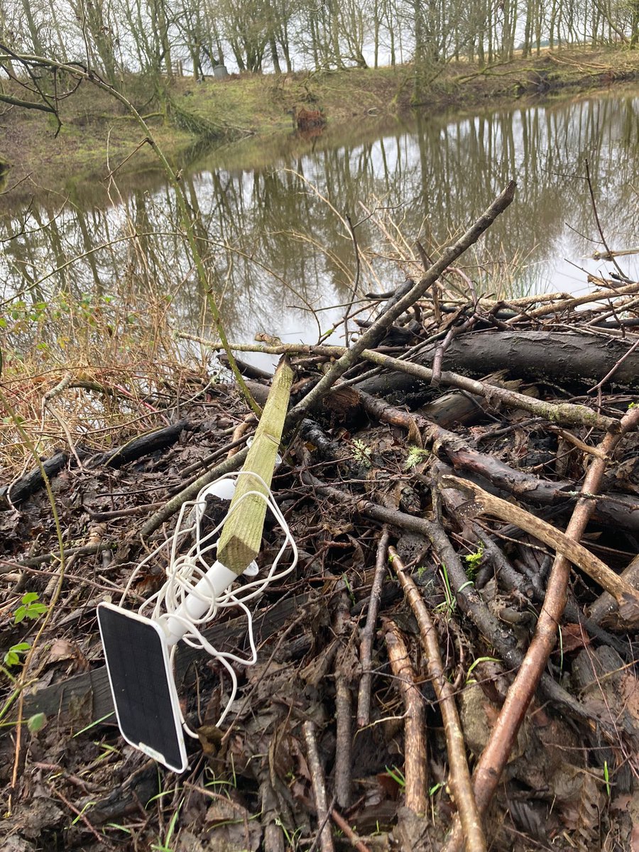 Argaty Red Kites tweet media
