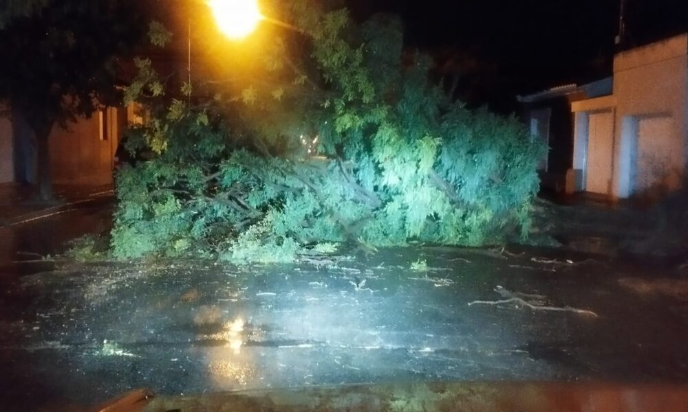 labrujula24's tweet image. Un temporal causó destrozos en Dorrego labrujula24.com/notas/2023/02/… #árbolescaídos #coroneldorrego #temporal #voladuradetechos