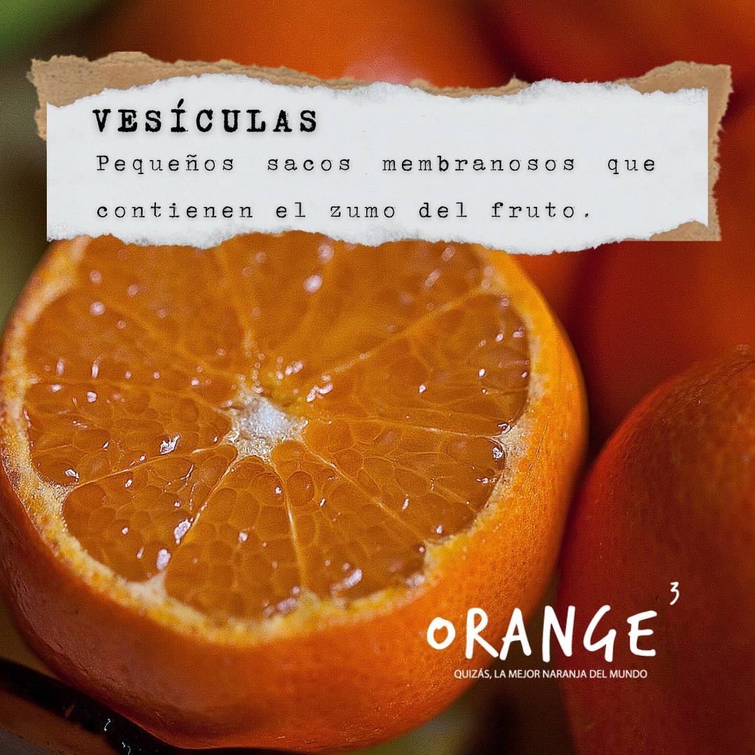 Orange3 🍊 tweet media
