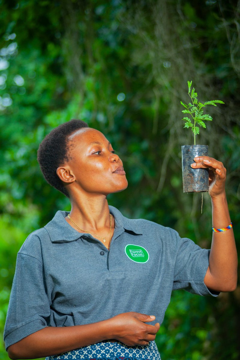 We plant with purpose 
🌳Retore and save nature.
 🥑Resolve food shortage
💧Protect water sources.
🌍Combat climate change.
<a href="/GreenNouns/">Green Nouns</a> <a href="/ECOWARRIORSS/">GO GREEN</a> <a href="/ICRAF/">World Agroforestry</a> <a href="/ViAgroforestry/">Vi Agroforestry</a> <a href="/pinoproxie/">Carlos De Sousa</a> <a href="/fruitsower/">Fruitsower</a> <a href="/Save0urForests/">🌳 Save Our Forests</a> <a href="/RnfrstAlliance/">Rainforest Alliance</a>