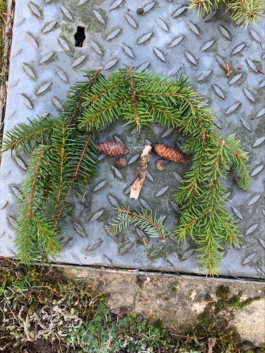 IHS_RS's tweet image. Taskmaster day 3; make the best self portrait from items you find outside. Our taskers have made a great start! #CMHWTasking #ChildrensMentalHealthWeek @TaskmasterEdu @Place2Be 
@IpswichHigh @mrdbrowning