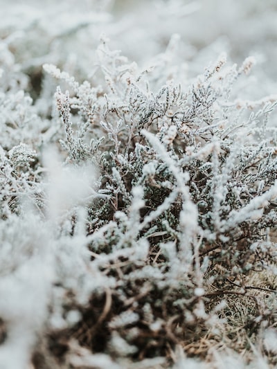DjBlaster's tweet image. Photo By Annie Spratt | Unsplash - via @Crowdfire  
 #webportal #freewebupgrade #flag #outdooreducation #outdoormedia