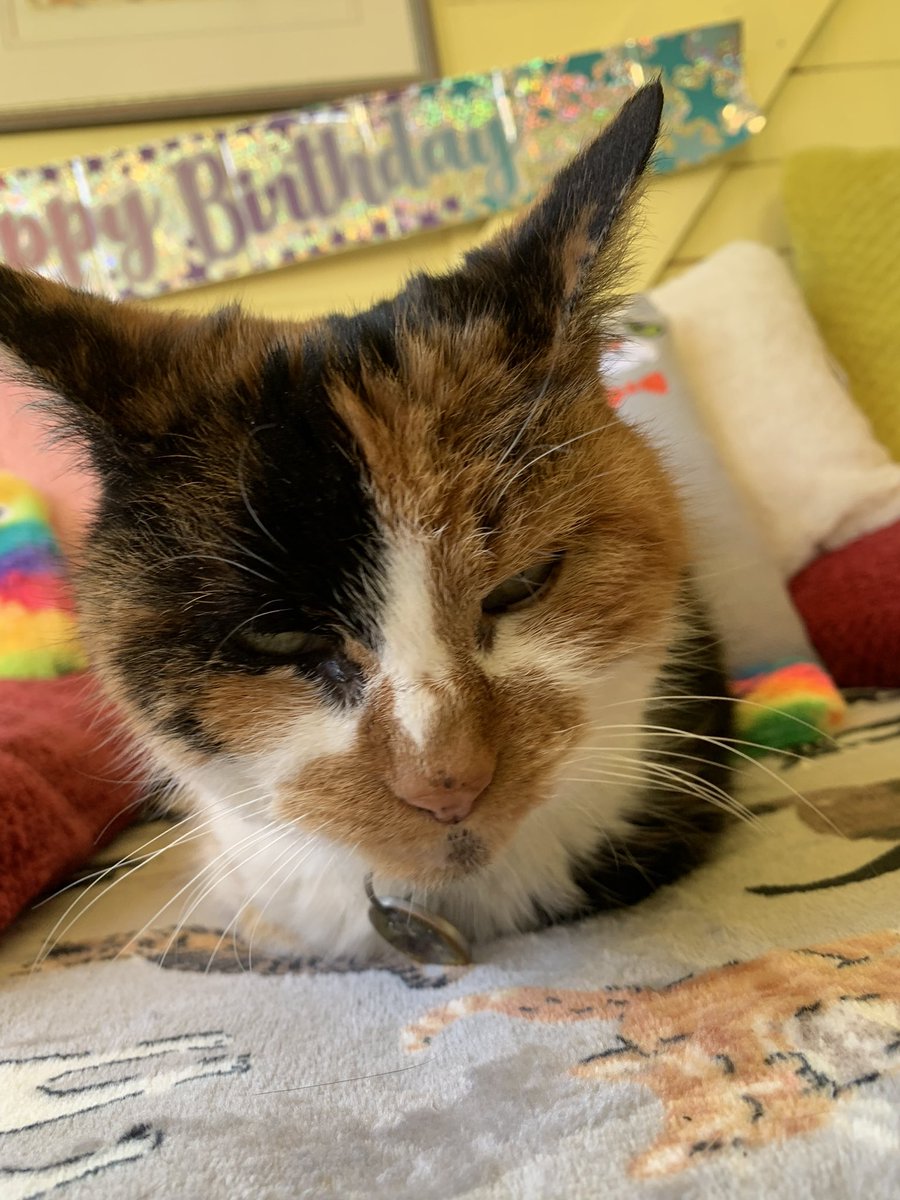 Molly had a lovely exciting morning for her birthday ❤️