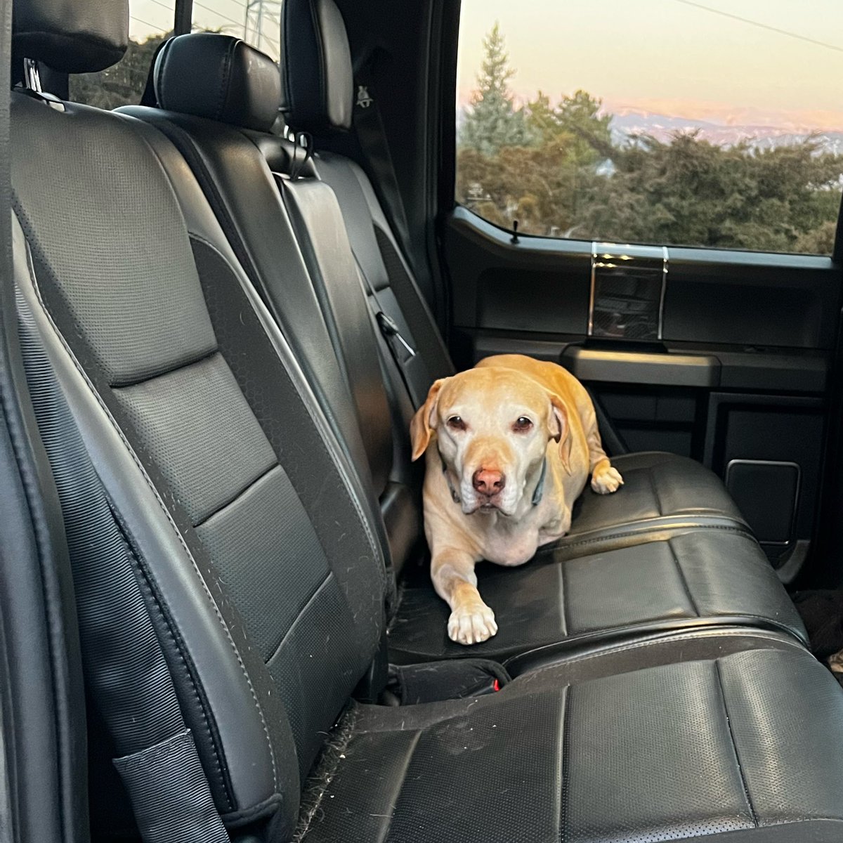 Jeb Dunnuck tweet media