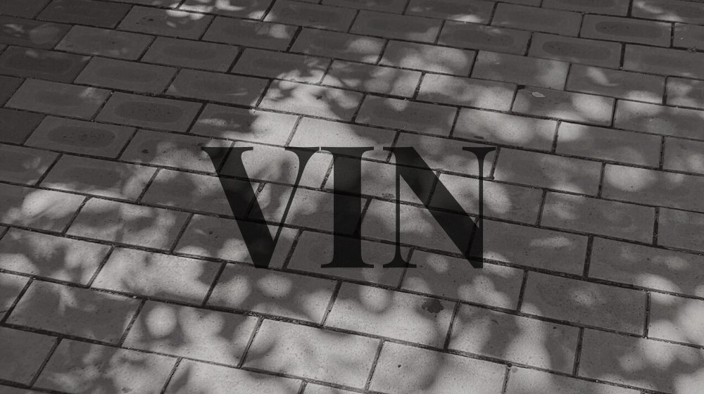 VIN tweet media