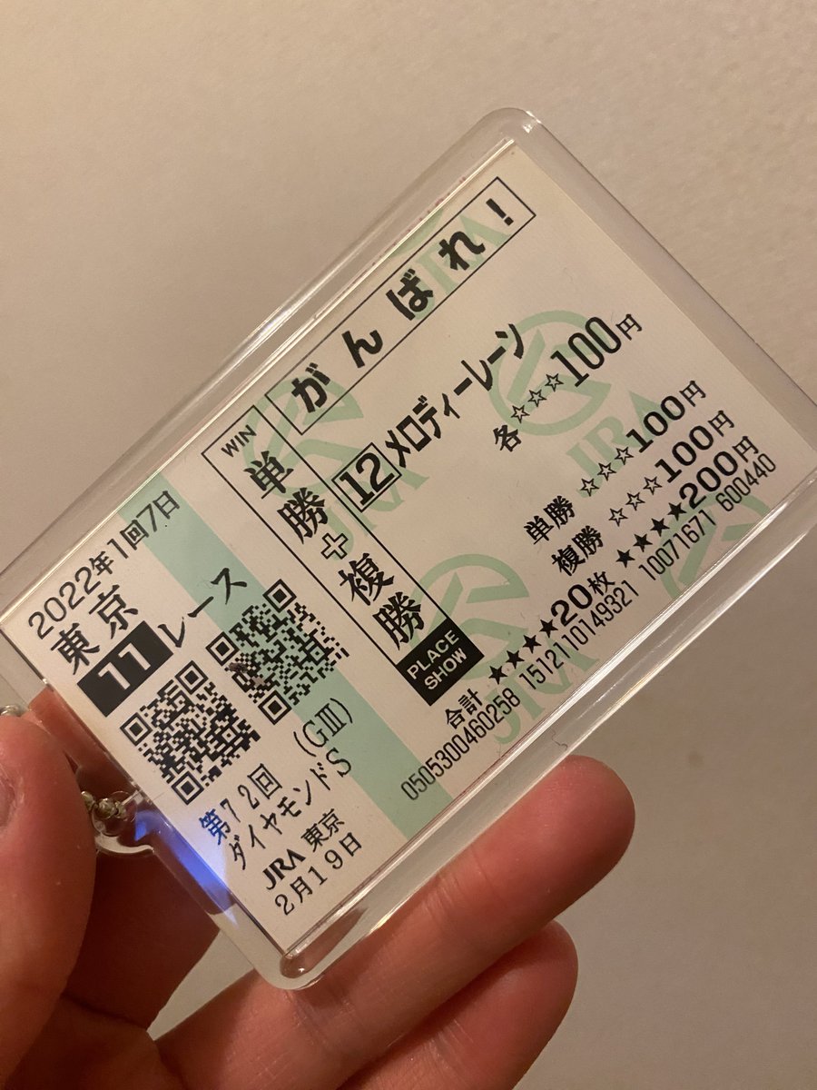 思い出馬券キーホルダー作った翌日にカゼノタニノアヤカが風の谷に帰ってくるとはなんだなんだなんだ