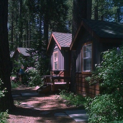 cmonlmj's tweet photo. Au wenclair || 𝑺𝒖𝒎𝒎𝒆𝒓

Onde Enid é deixada no Camp Nevermore durante o verão e está determinada a ser expulsa do lugar. Mas quando ela chama a atenção de Wednesday, uma misteriosa mentora, Enid descobre que pode haver mais nesse acampamento do que apenas mosquitos. https://t.co/MRs4UUTXA5