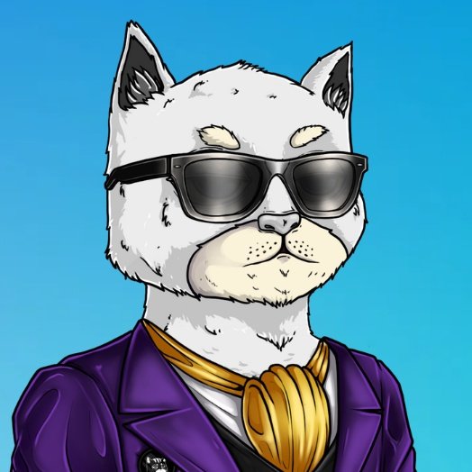 Sol_Thief's tweet photo. @FatCatsHenny @FatCatsCapital @FatCatsCapital got me out here looking FRESH! https://t.co/DpfQCoTIax