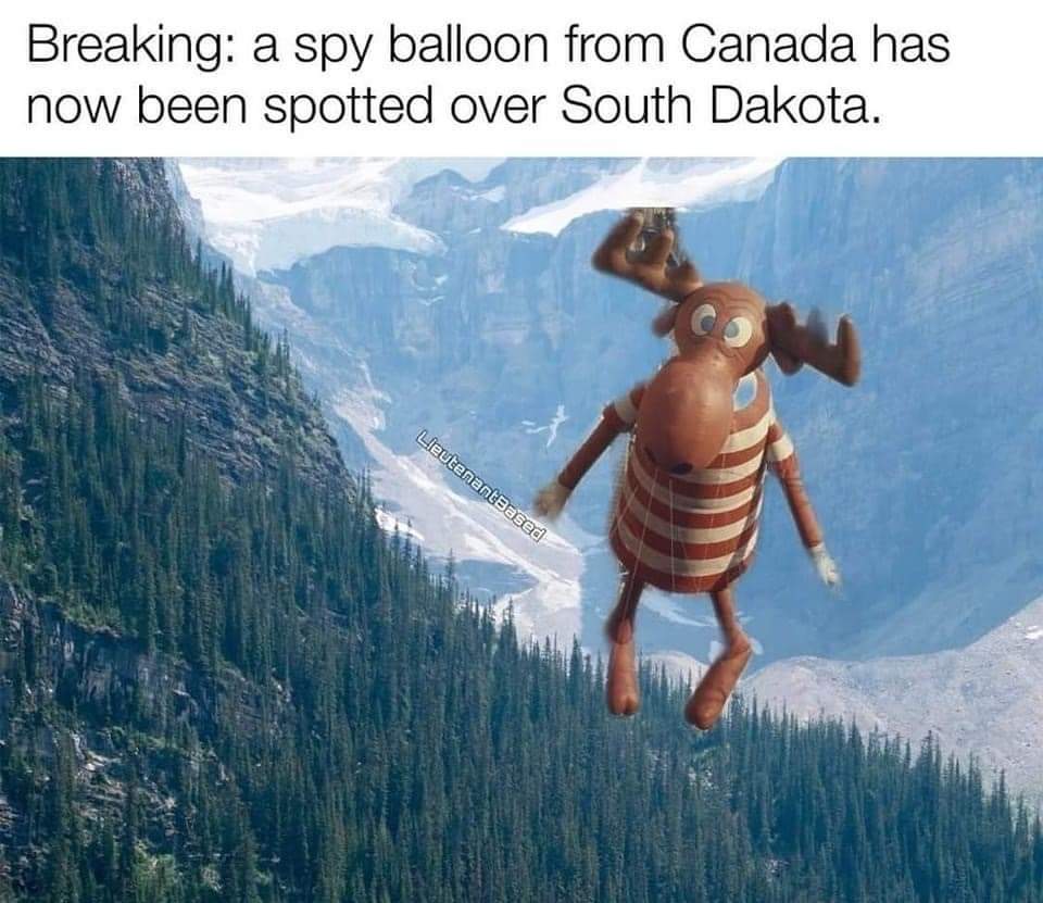 RebelForged🍁 (@rebelforged) on Twitter photo 