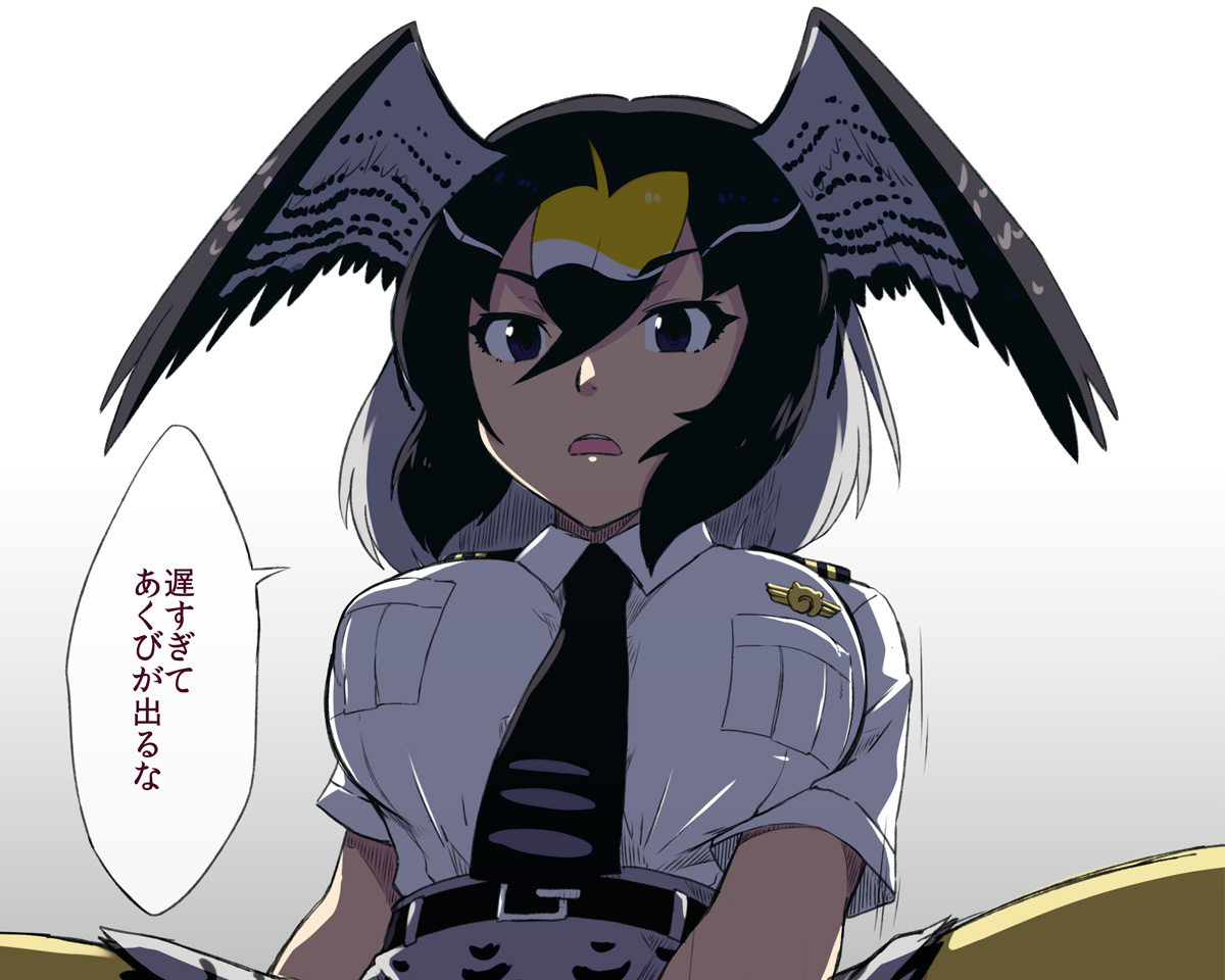こっちのハヤブサ描いた絵あんまなかった(漫画でちょっと出したことはあるけど) 